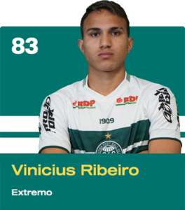 Vincius Ribeiro (BRA)