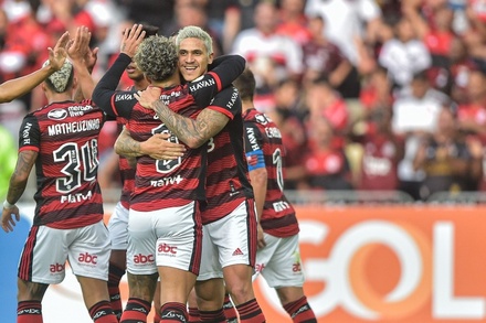 Flamengo 1-0 Goiás